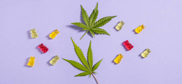 Exploring the Best Pure CBD Gummies Available in Canada