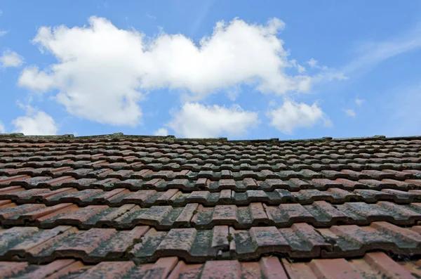 Elevate Your Property with Eagle Roofing and Construction LLC Cocoa