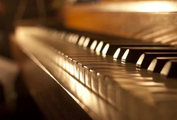 Cultivating Musical Growth with Patience and Support